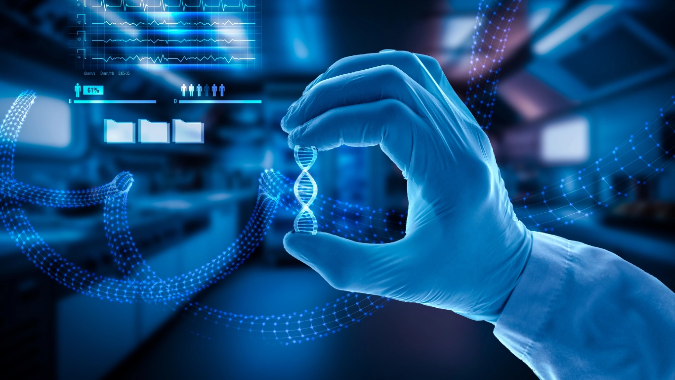 Freelance seo expert in dubai